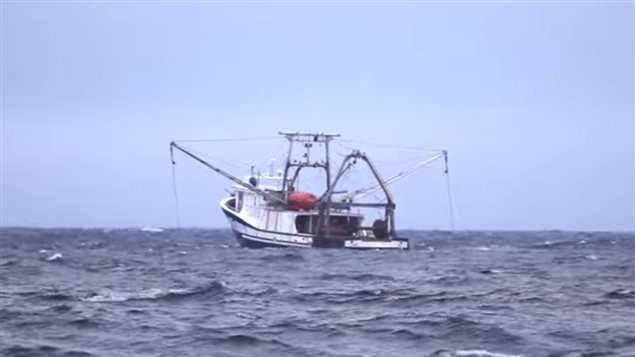 Quebec Fishermen Worry over Survival of Shrimp Fishery